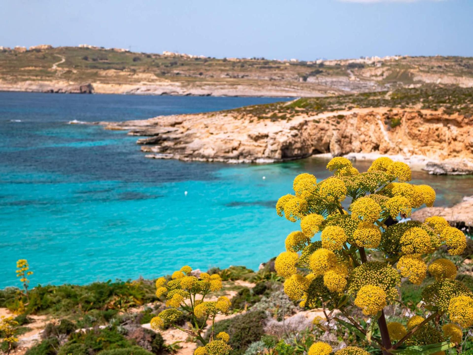 Cara Flats By Homely Mellieħa Exterior foto